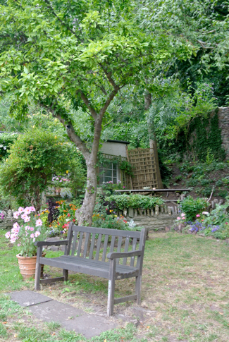 Clifton wood community garden