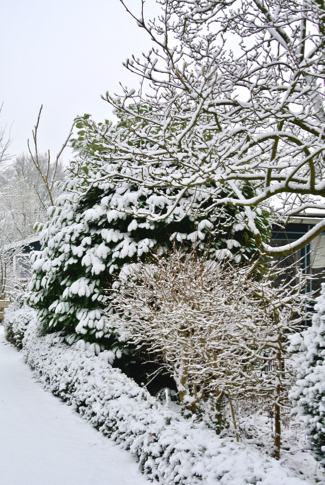 Sneeuw volkstuin Amstelglorie