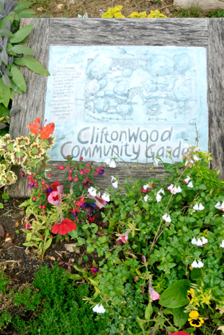 Cliftonwood community garden